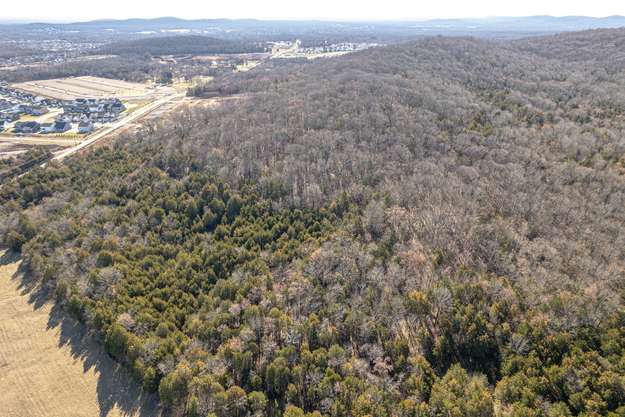 0 Rocky Fork Almaville Road Smyrna, TN 37167 - Photo 11 of 26 view of city and mountain