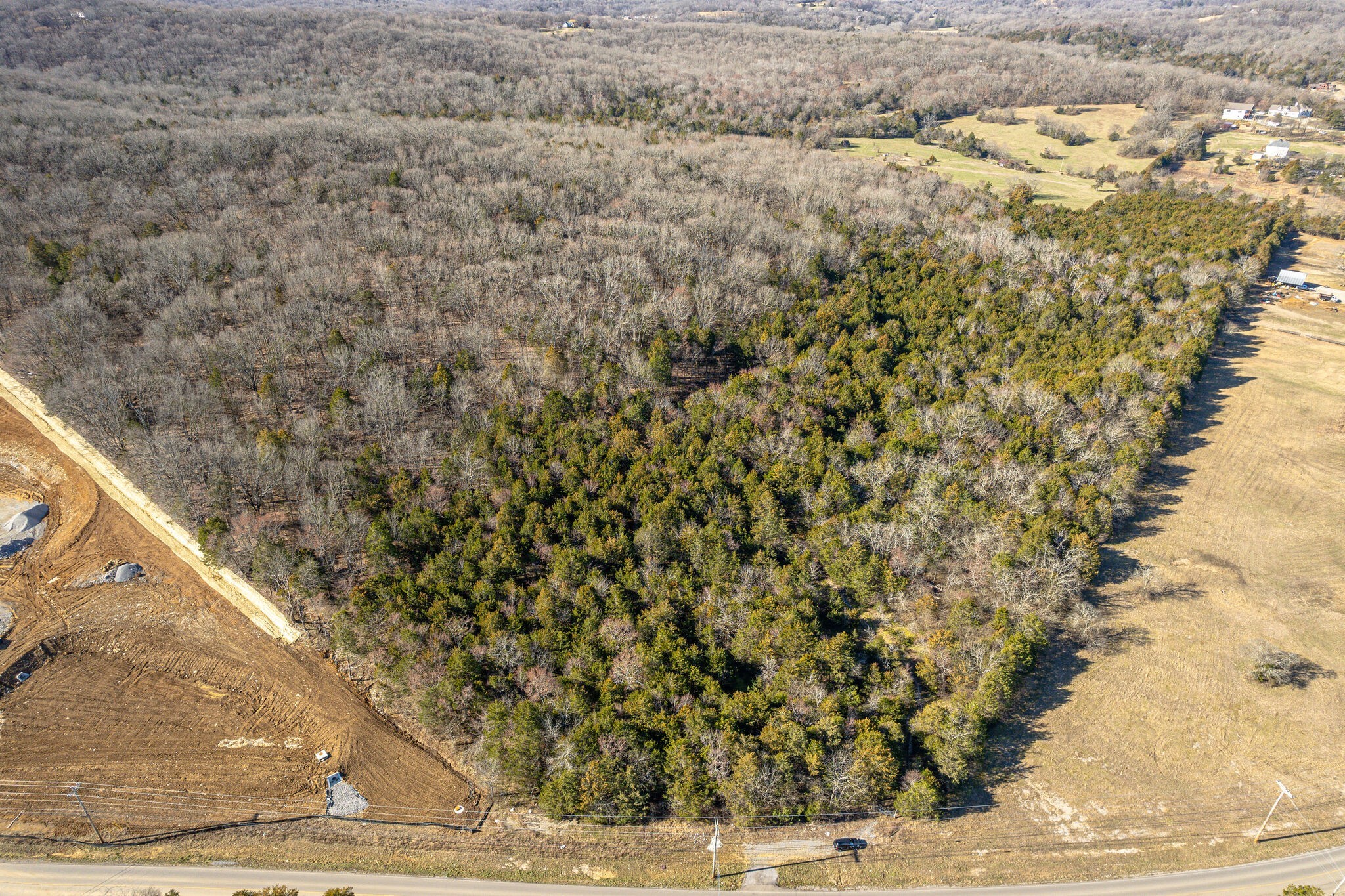 0 Rocky Fork Almaville Road Smyrna, TN 37167 - Photo 15 of 26 a view of a yard