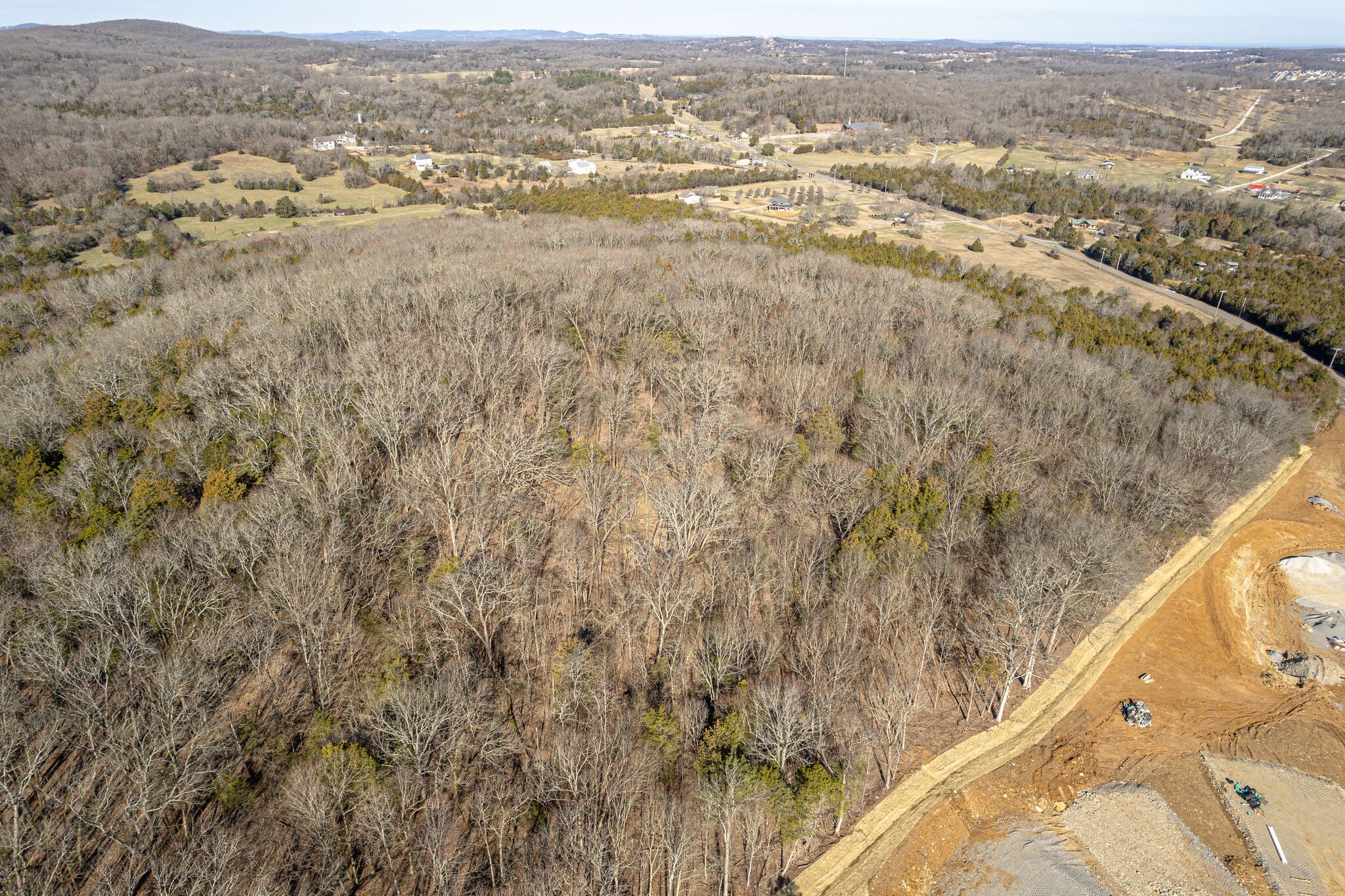 0 Rocky Fork Almaville Road Smyrna, TN 37167 - Photo 19 of 26 an aerial view of residential houses with outdoor space