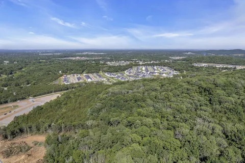 a view of a city with lush green forest