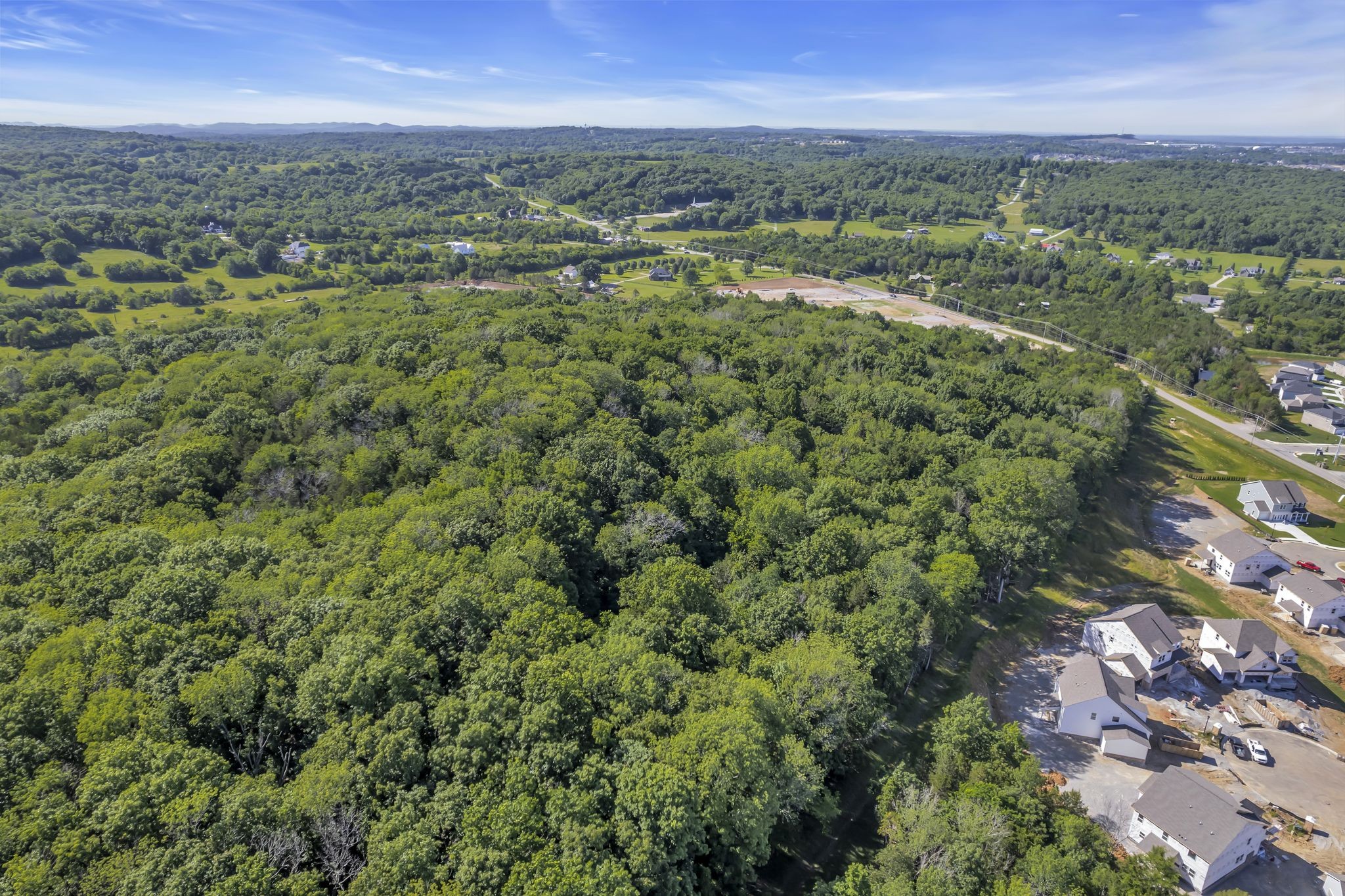 0 Rocky Fork Almaville Road Smyrna, TN 37167 - Photo 5 of 26 an aerial view of residential houses with outdoor and green space