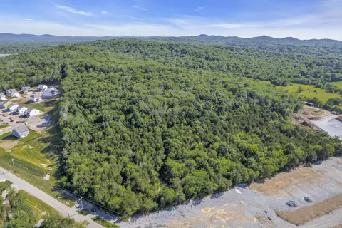 a view of a lush green hillside and a mountain