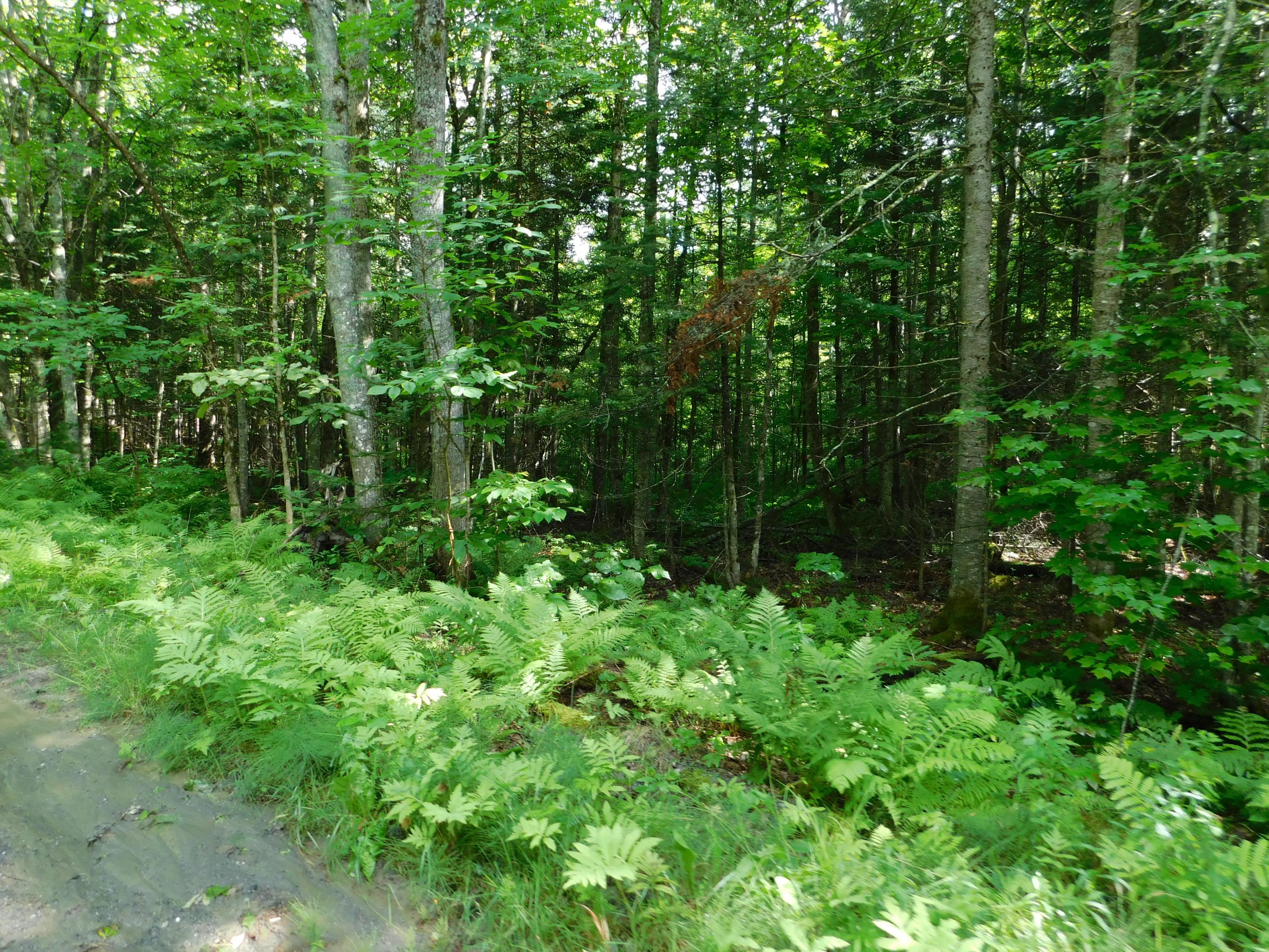 0 North Mills Road Ripley, ME 04930 - Photo 3 of 19 DSCN0754
