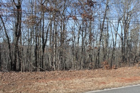 0 Scenic Heights Road Manchester, GA 31816 - Photo 1 of 3 Main View