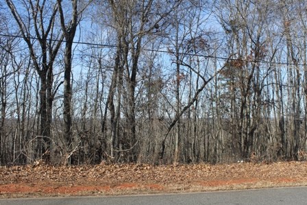 0 Scenic Heights Road Manchester, GA 31816 - Photo 3 of 3 Gallery Image 3