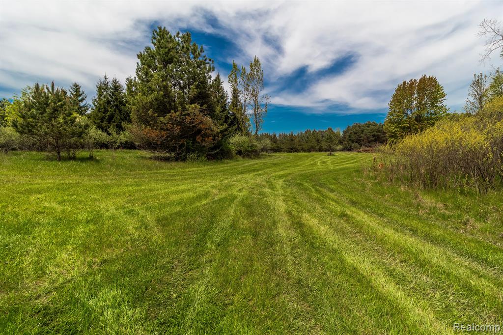 13926 Imlay City Road Capac, MI 48014 - Photo 41 of 47 Gallery Image 41
