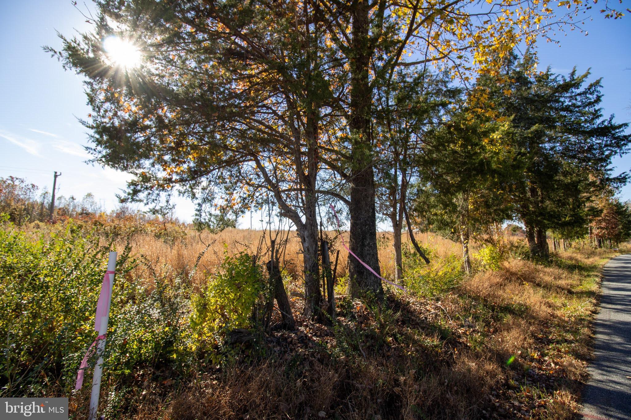 Tbd Piney Grove Road, Unit 21 Alton, VA 24520 - Photo 11 of 19