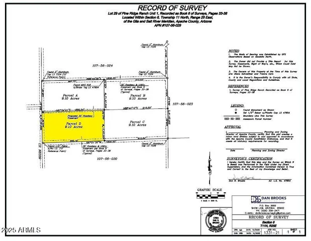 a close up of a tree in a yard