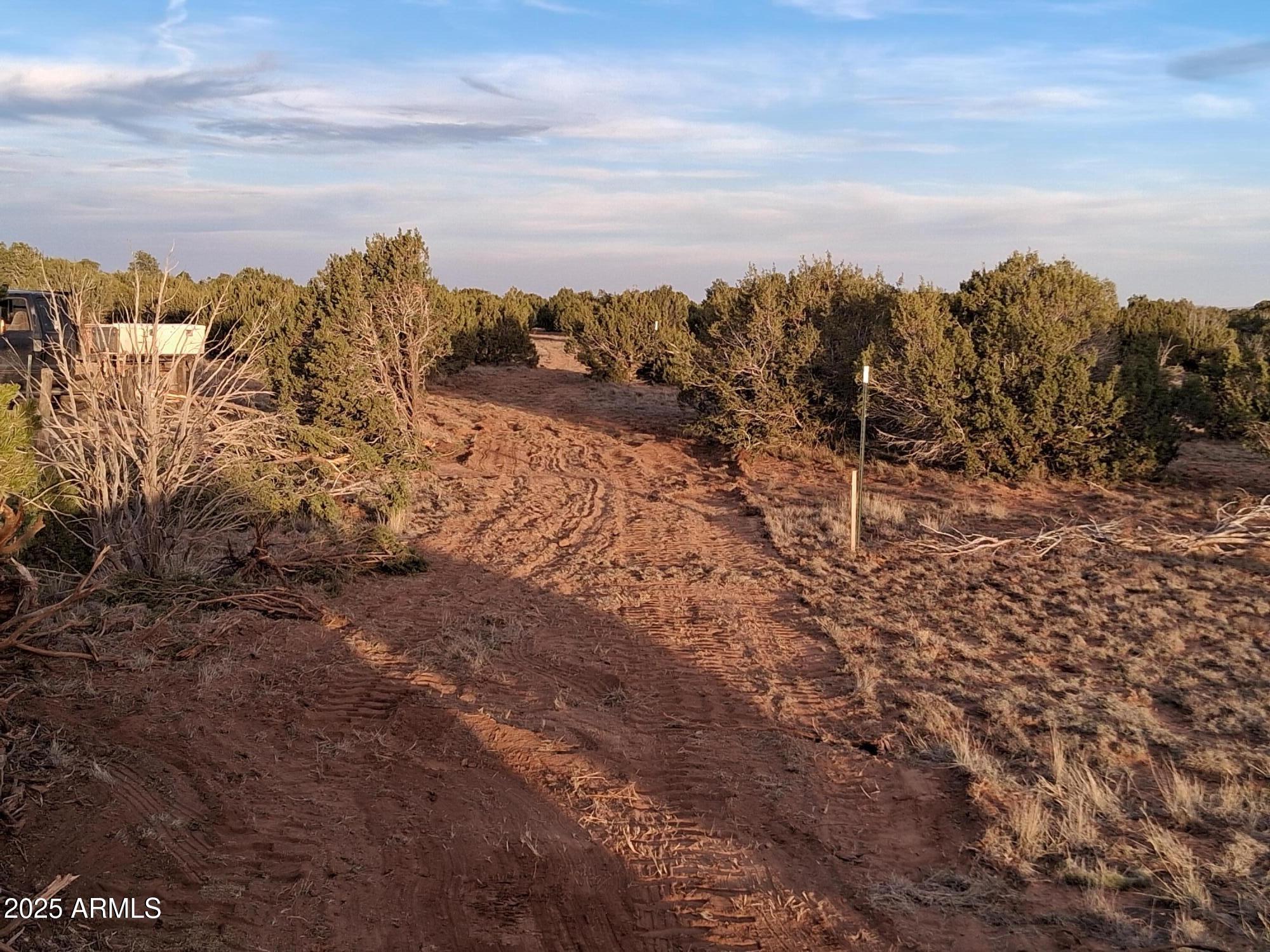 46 County Road Snowflake, AZ 85937 - Photo 13 of 18 a view of a dry yard with mountains in the background