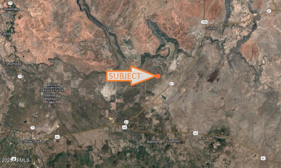 46 County Road Snowflake, AZ 85937 - Photo 2 of 18 a close up of a tree in a yard