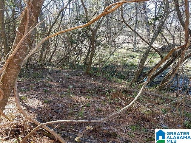 145 Naval Reserve Road, Unit 1 Bessemer, AL 35023 - Photo 2 of 7