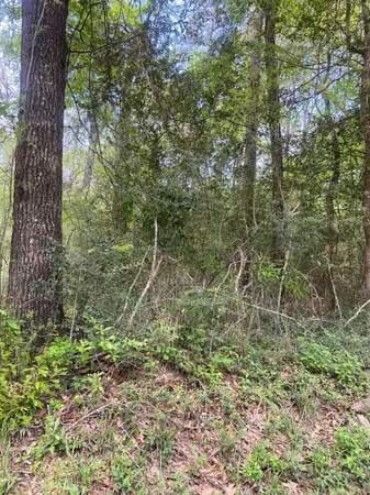 $25,000 | 0 Friar Tuck Drive, Shepherd, TX 77371