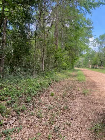 a view of outdoor space with trees all around