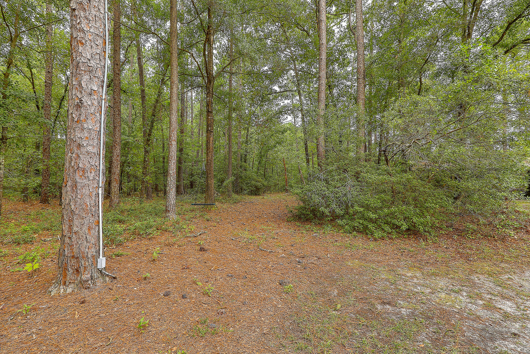 879 Academy Road Walterboro, SC 29488 - Photo 46 of 50 0W7A0216_17_18_19_20_21_22