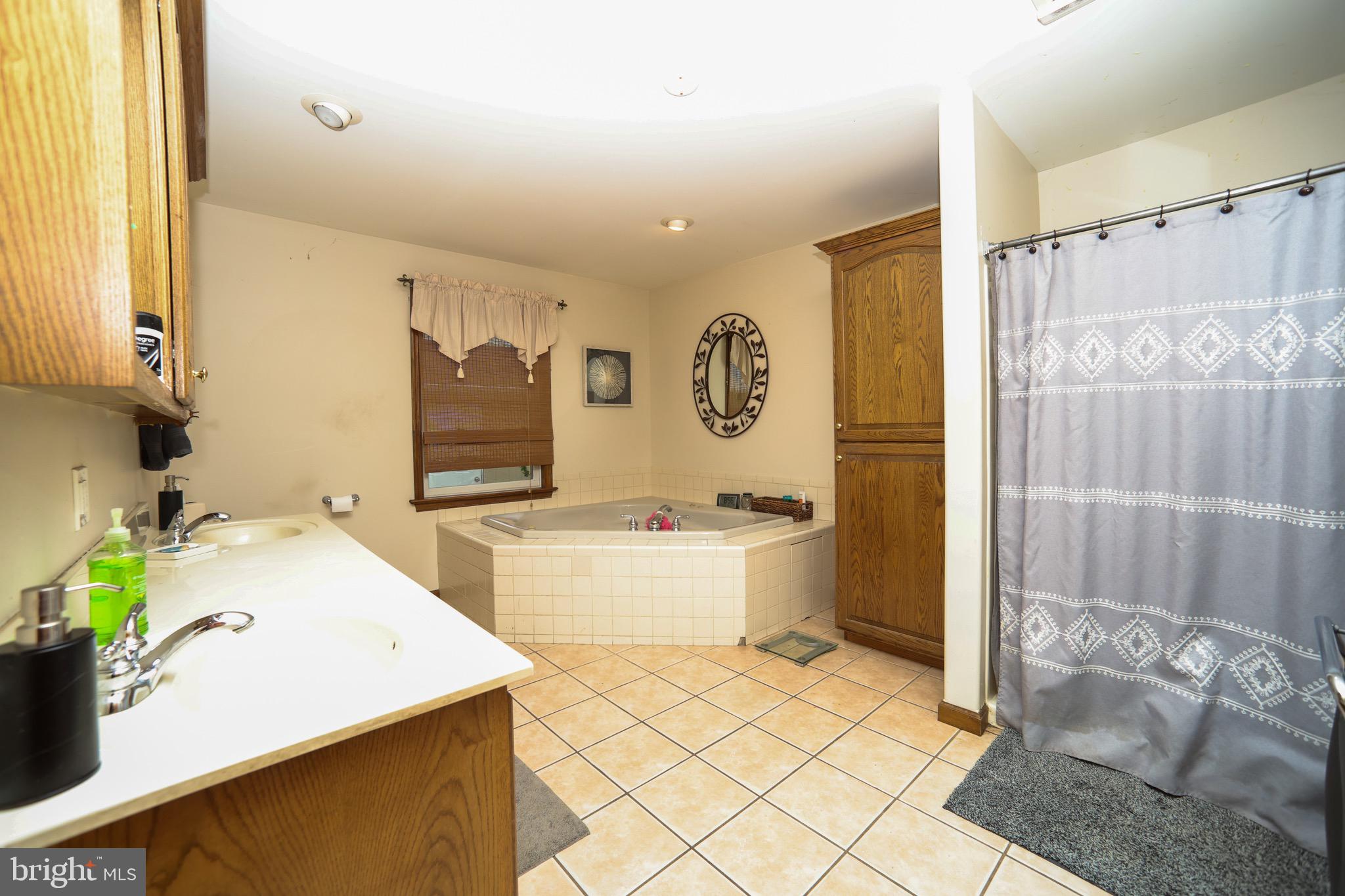 345 Kauffroth Road Narvon, PA 17555 - Photo 54 of 88 a large bathroom with a tub sink and mirror