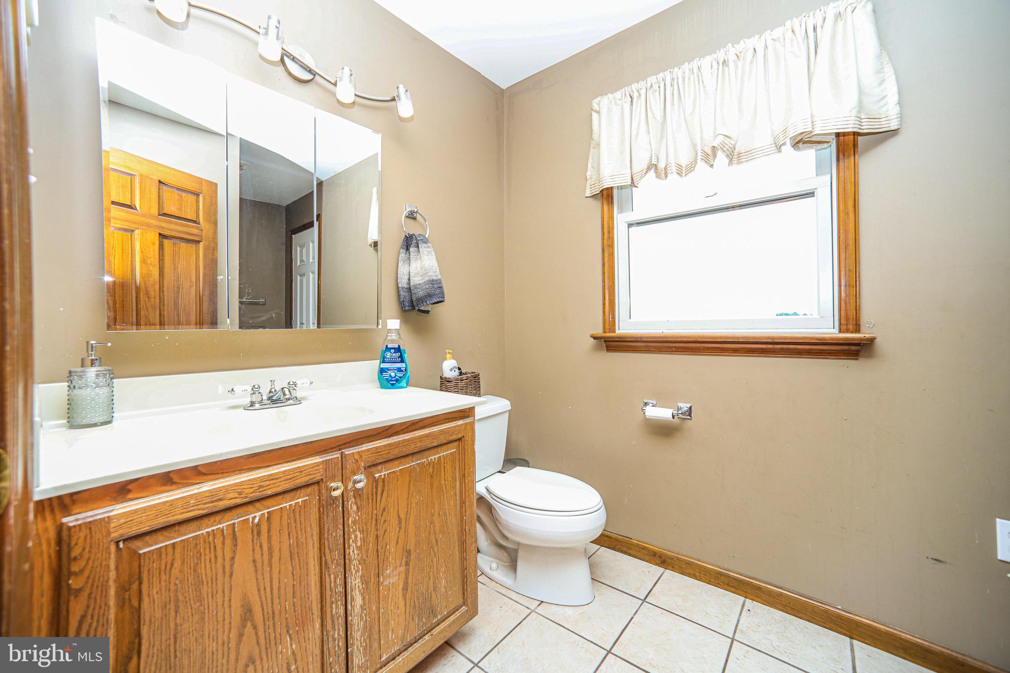 345 Kauffroth Road Narvon, PA 17555 - Photo 63 of 88 a bathroom with a sink a toilet and mirror