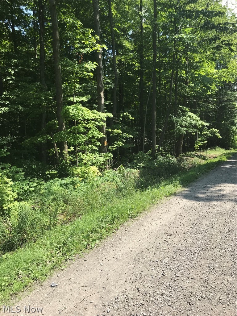 Vl Station Road Rome, OH 44085 - Photo 7 of 7
