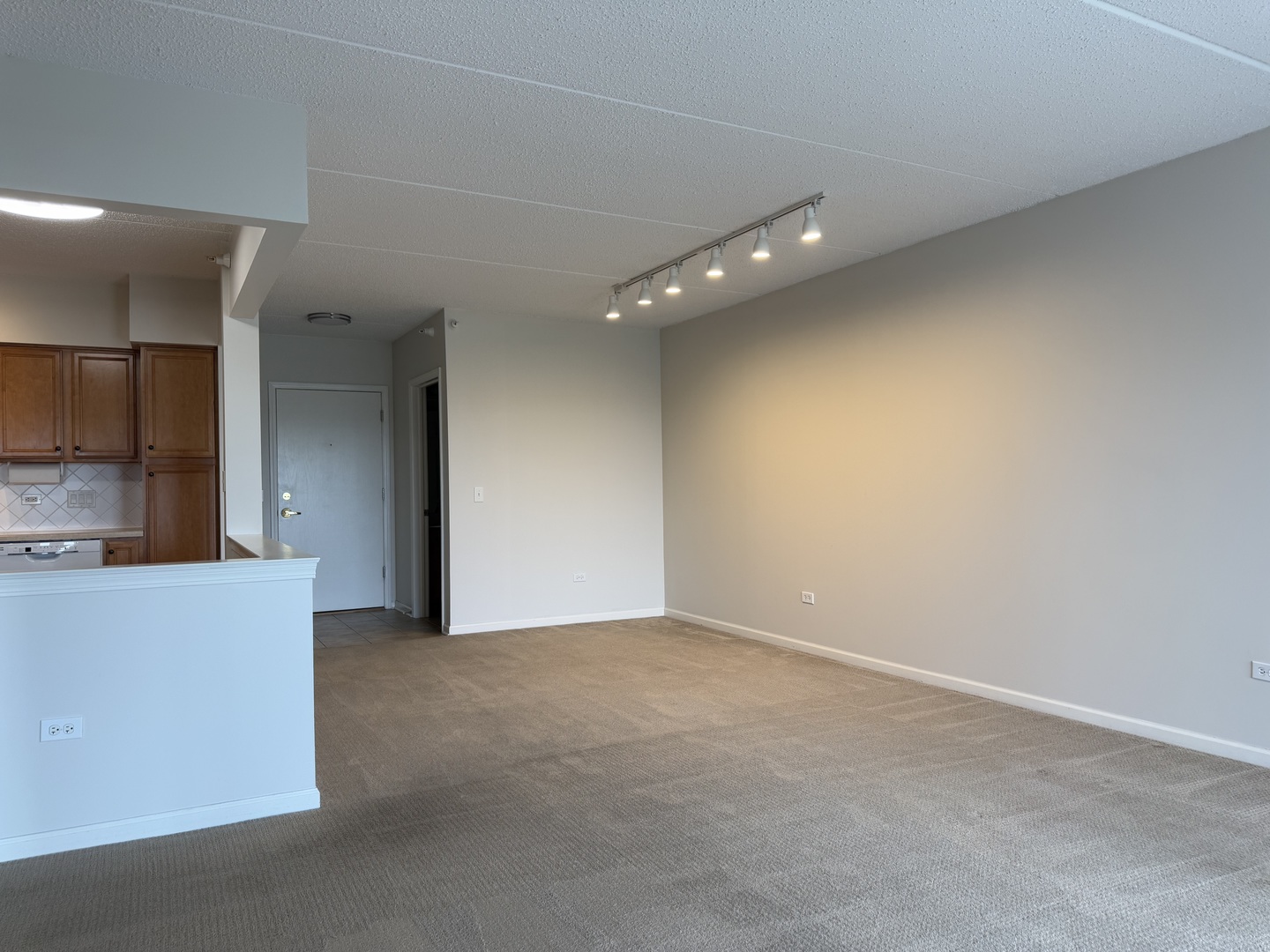 20 South Main Street, Unit 506 Mount Prospect, IL 60056 - Photo 6 of 22 a view of an empty room with a fireplace