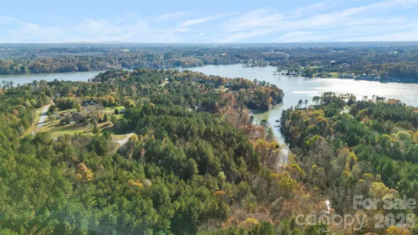 an aerial view of mountain with trees