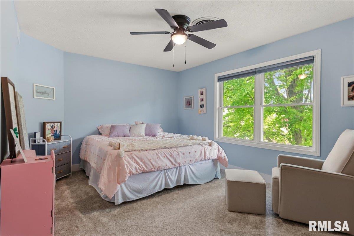 1808 Strawberry Lane Springfield, IL 62711 - Photo 26 of 46