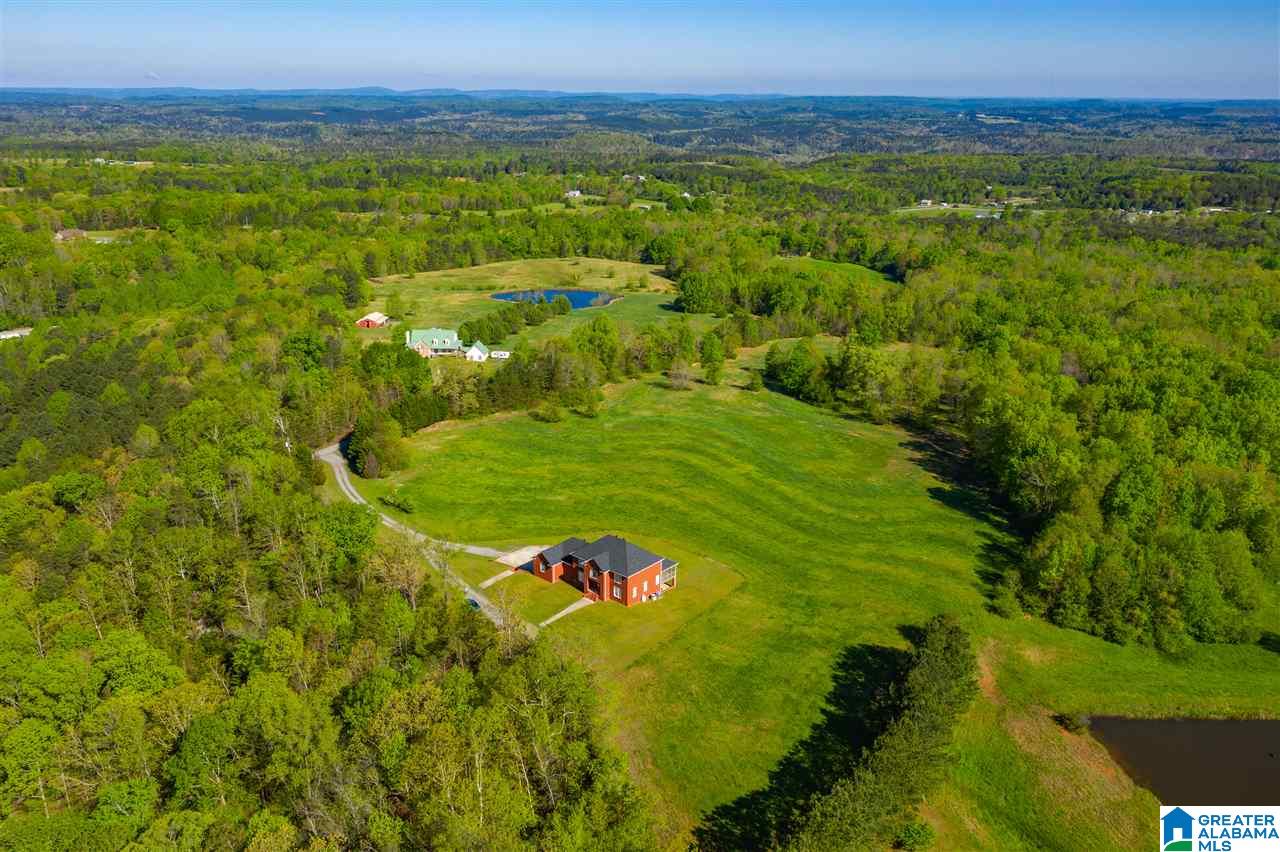 587 Highway 24 Springville Al Springville, AL 35146 - Photo 33 of 37