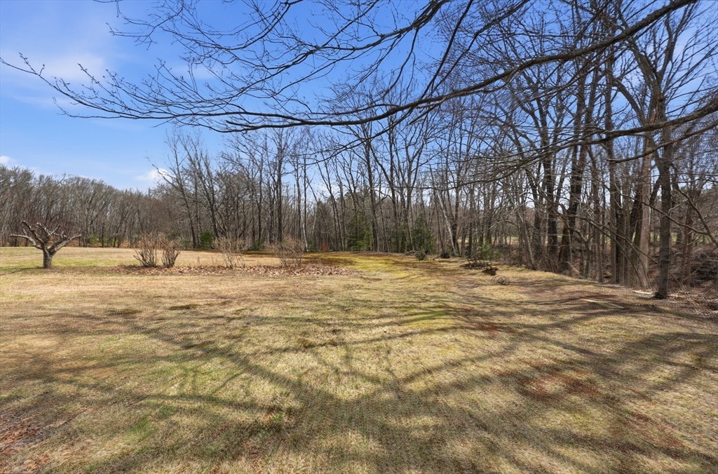 240 Upper Road Deerfield, MA 01342 - Photo 41 of 42 a view of outdoor space with trees