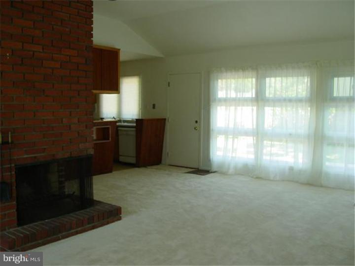 18 Marlyn Road Newark, DE 19713 - Photo 6 of 16 Fireplace