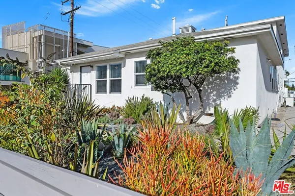 a view of a potted flower in front of a door
