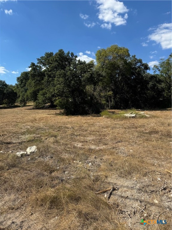 Lot 6 Bowles Ranch Road Belton, TX 76513 - Photo 4 of 4