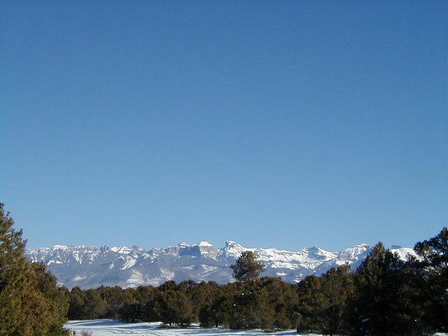 Primary Photo