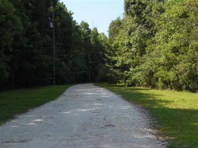 10100 Mcdowell Shortcut Road Murrells Inlet, SC 29576 - Photo 2 of 10 Gallery Image 2