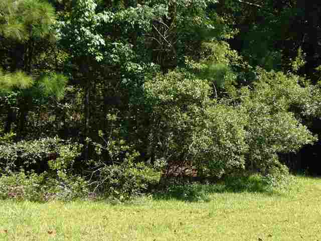 10100 Mcdowell Shortcut Road Murrells Inlet, SC 29576 - Photo 9 of 10 Gallery Image 9