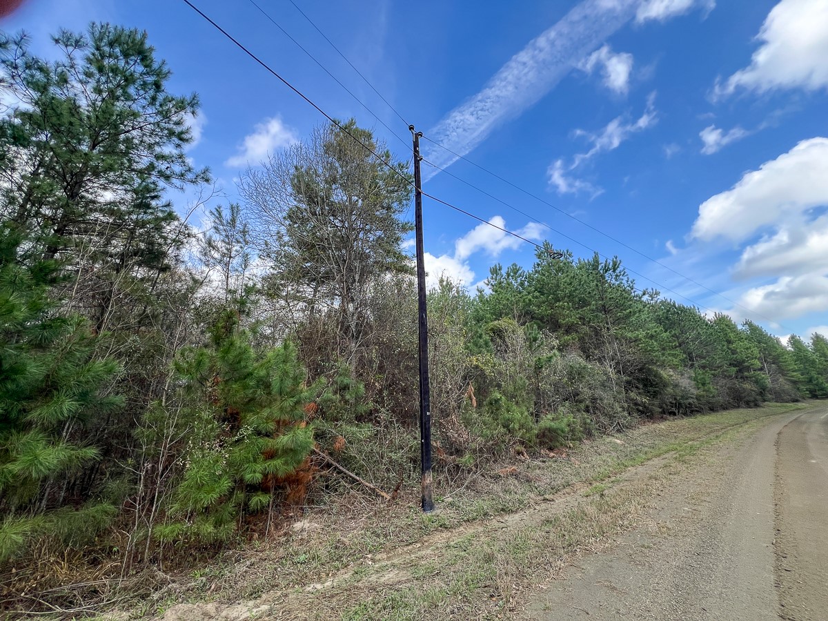 0 County Road 37 Jasper, TX 75951 - Photo 11 of 27 a view of a yard