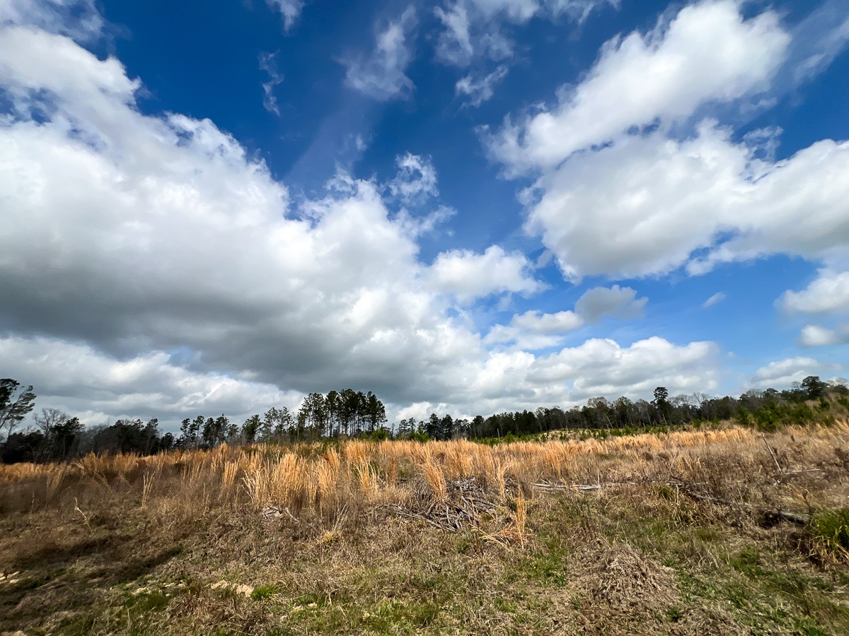 0 County Road 37 Jasper, TX 75951 - Photo 14 of 27