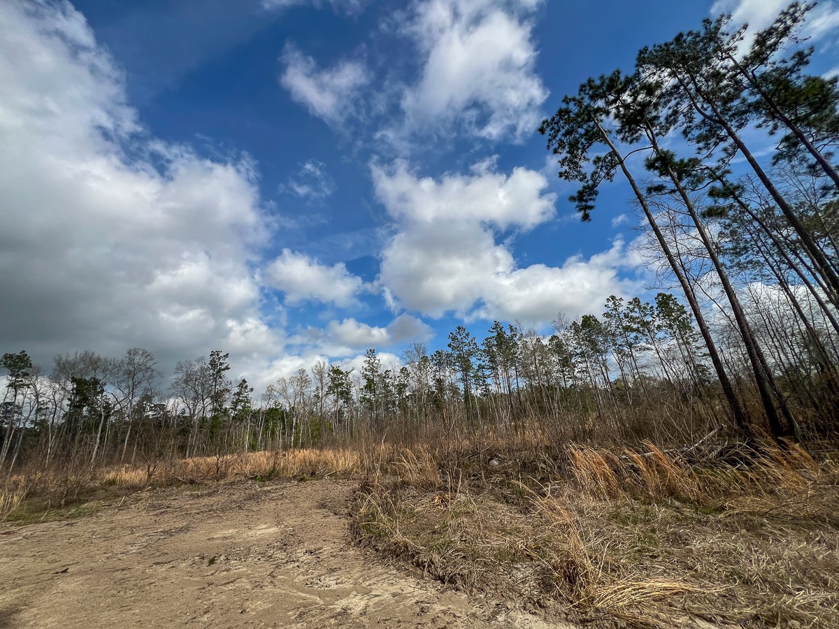 0 County Road 37 Jasper, TX 75951 - Photo 15 of 27 a view of a lake