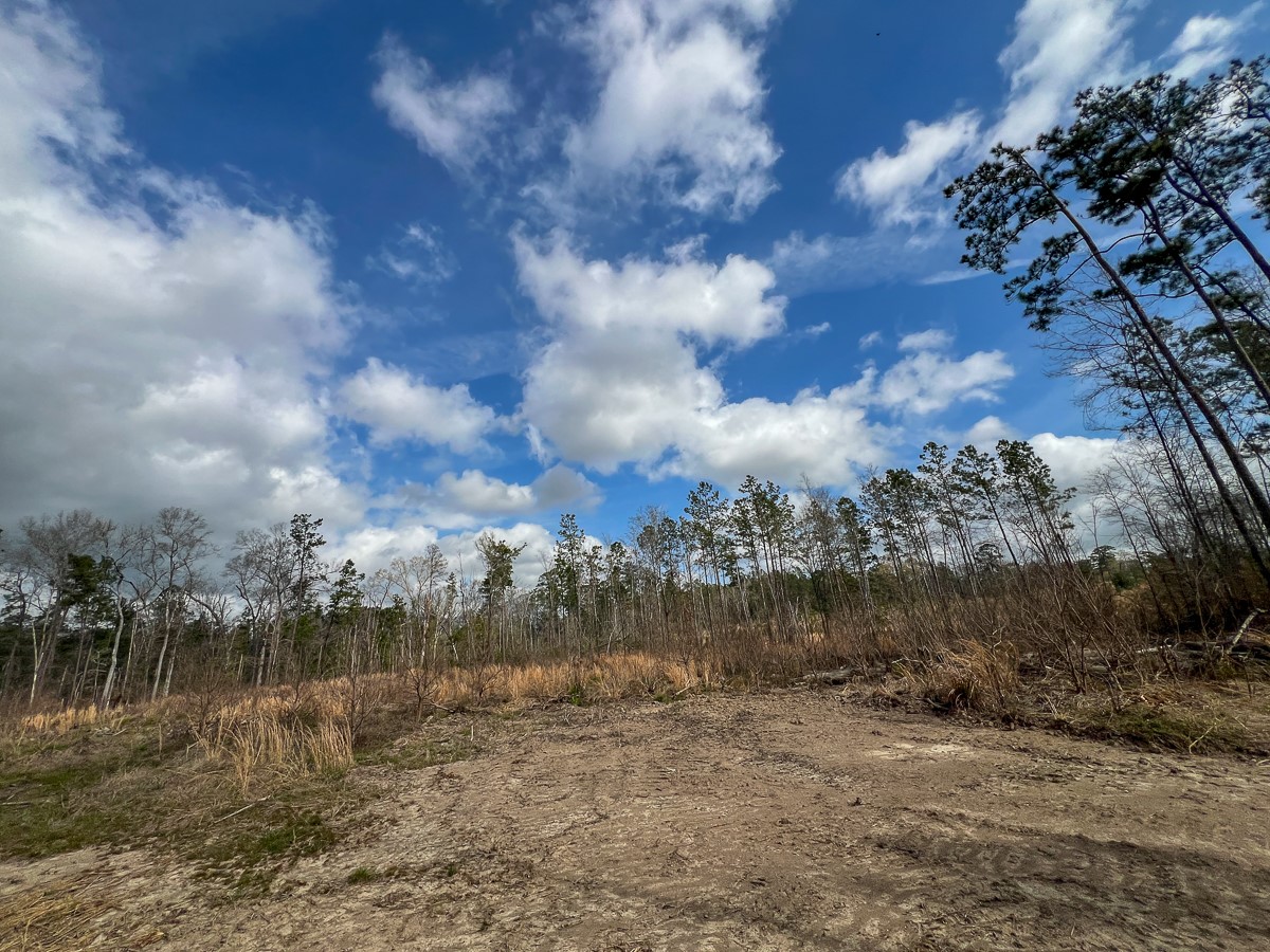 0 County Road 37 Jasper, TX 75951 - Photo 16 of 27 a view of a lake with houses in back