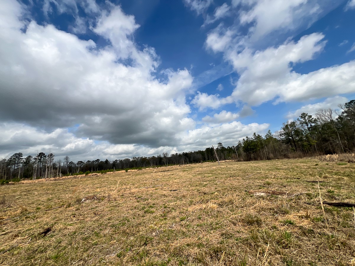 0 County Road 37 Jasper, TX 75951 - Photo 17 of 27 a view of a lake view
