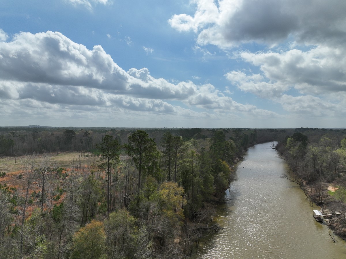 0 County Road 37 Jasper, TX 75951 - Photo 3 of 27 a view of a lake in middle of forest