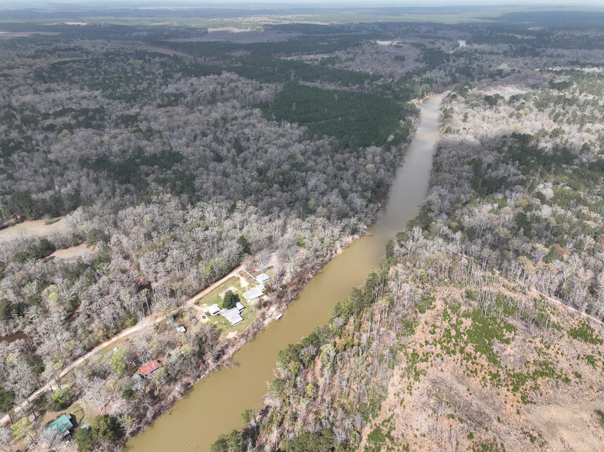0 County Road 37 Jasper, TX 75951 - Photo 5 of 27 a view of a yard with wooden floor and lake view