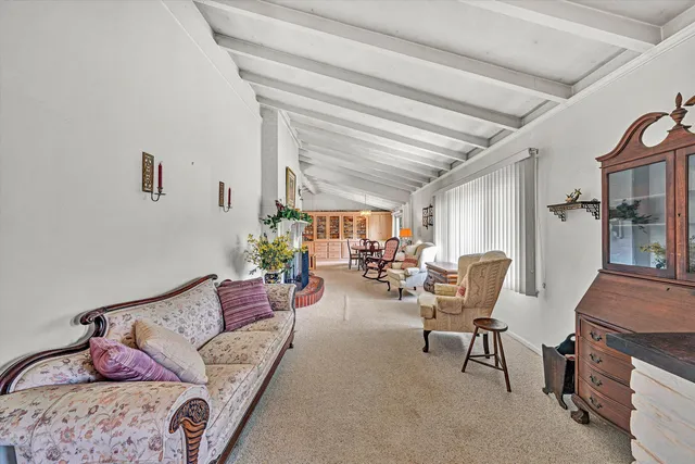 a living room with furniture potted plant and a fireplace