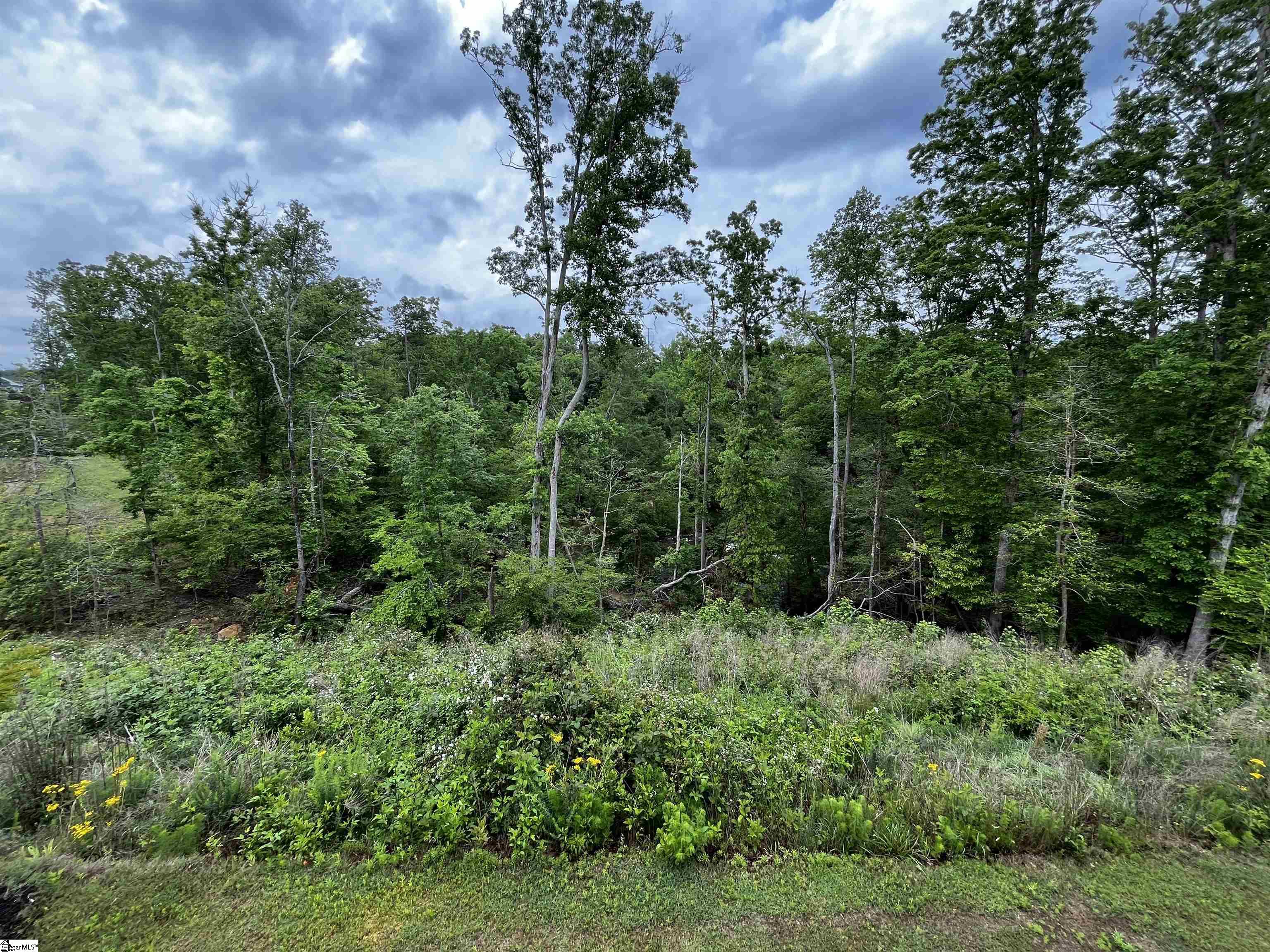 113 Comanche Trail Greenville, SC 29607 - Photo 32 of 39