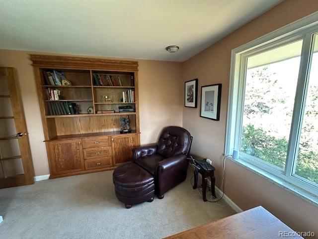 6227 Colorow Drive Morrison, CO 80465 - Photo 22 of 43 a room with a couch and a window