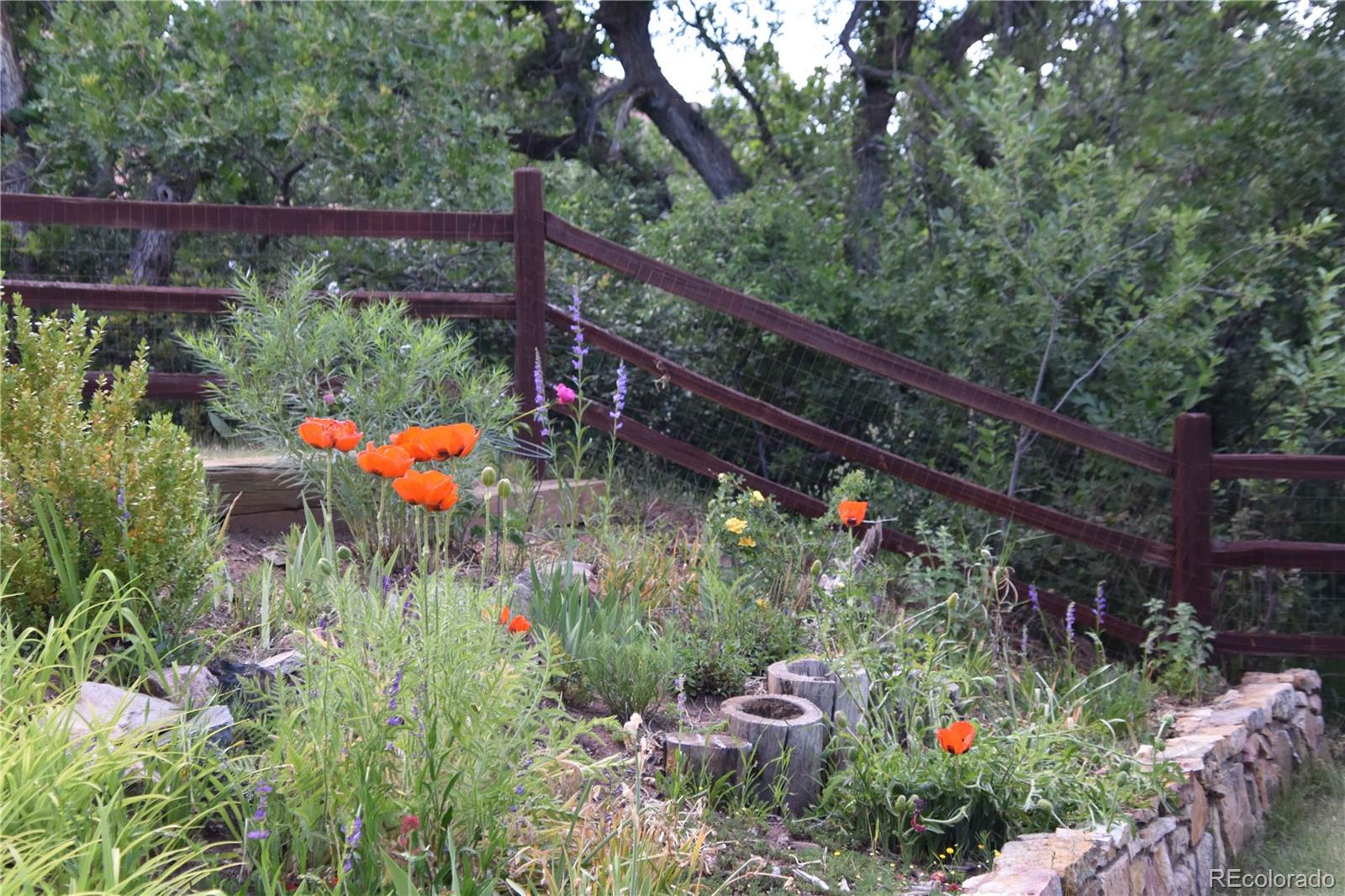 6227 Colorow Drive Morrison, CO 80465 - Photo 37 of 43 a backyard of a house with a yard and outdoor seating