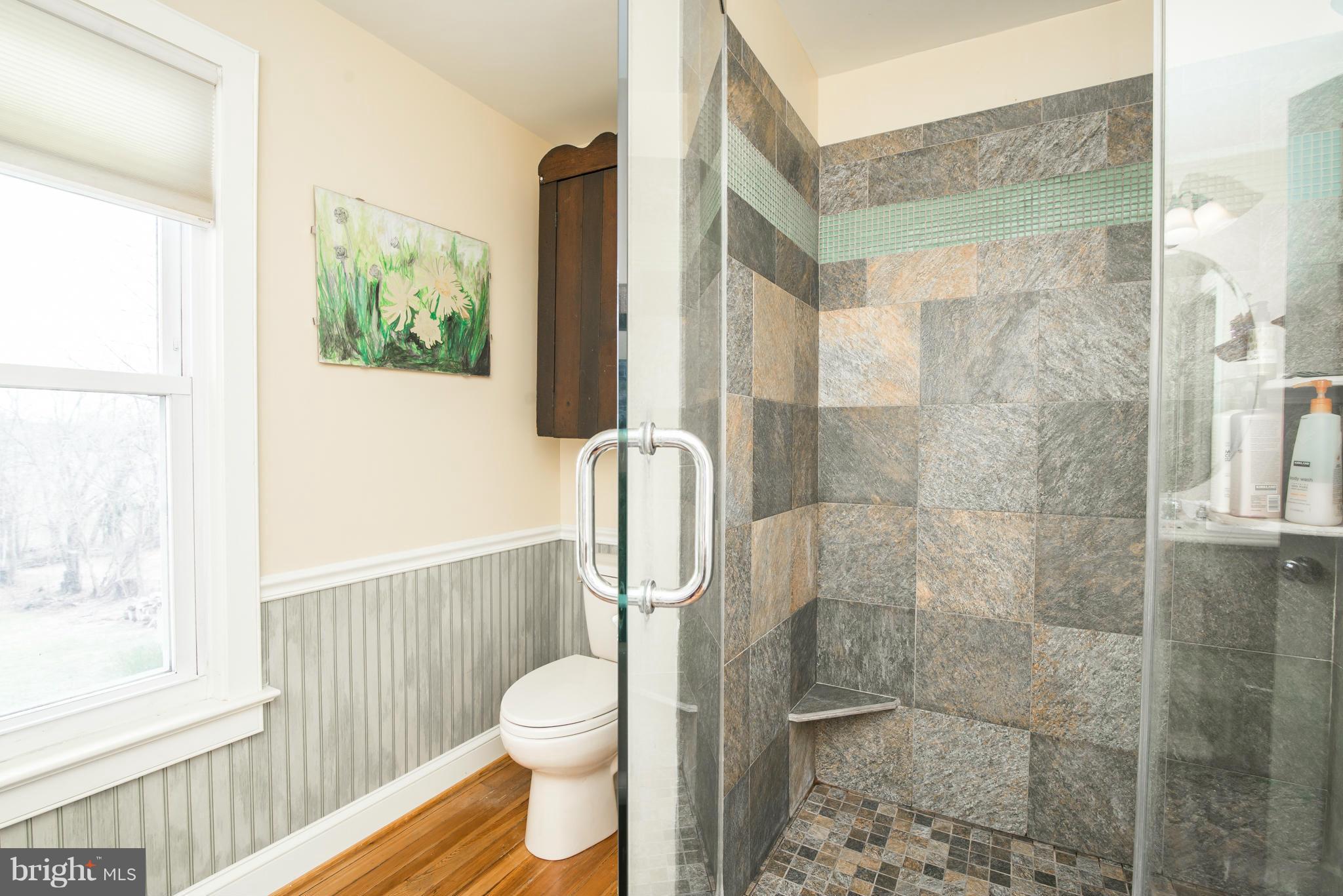 55 Main Street Round Hill, VA 20141 - Photo 16 of 29 Bath (Master)