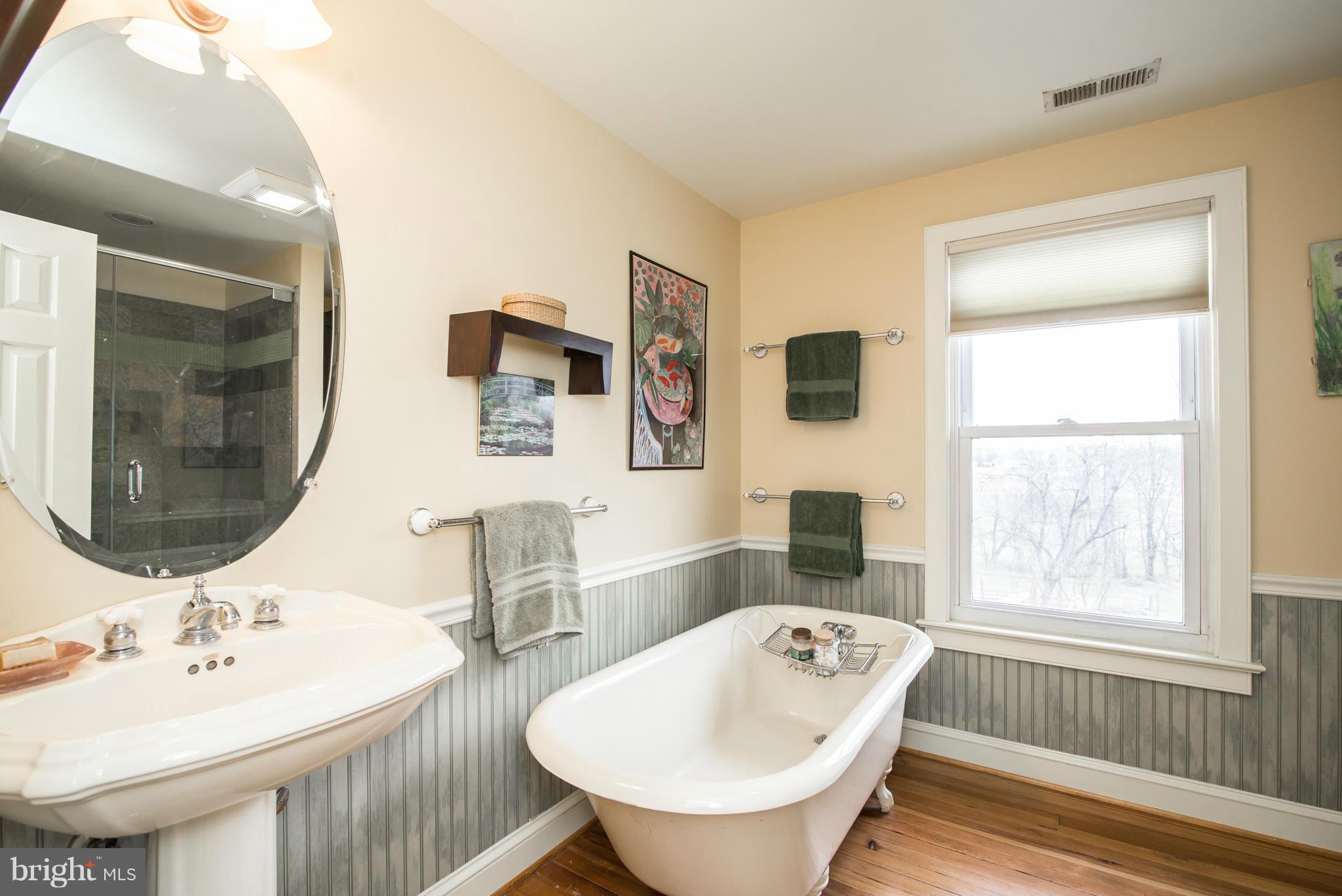 55 Main Street Round Hill, VA 20141 - Photo 17 of 29 Bath (Master)