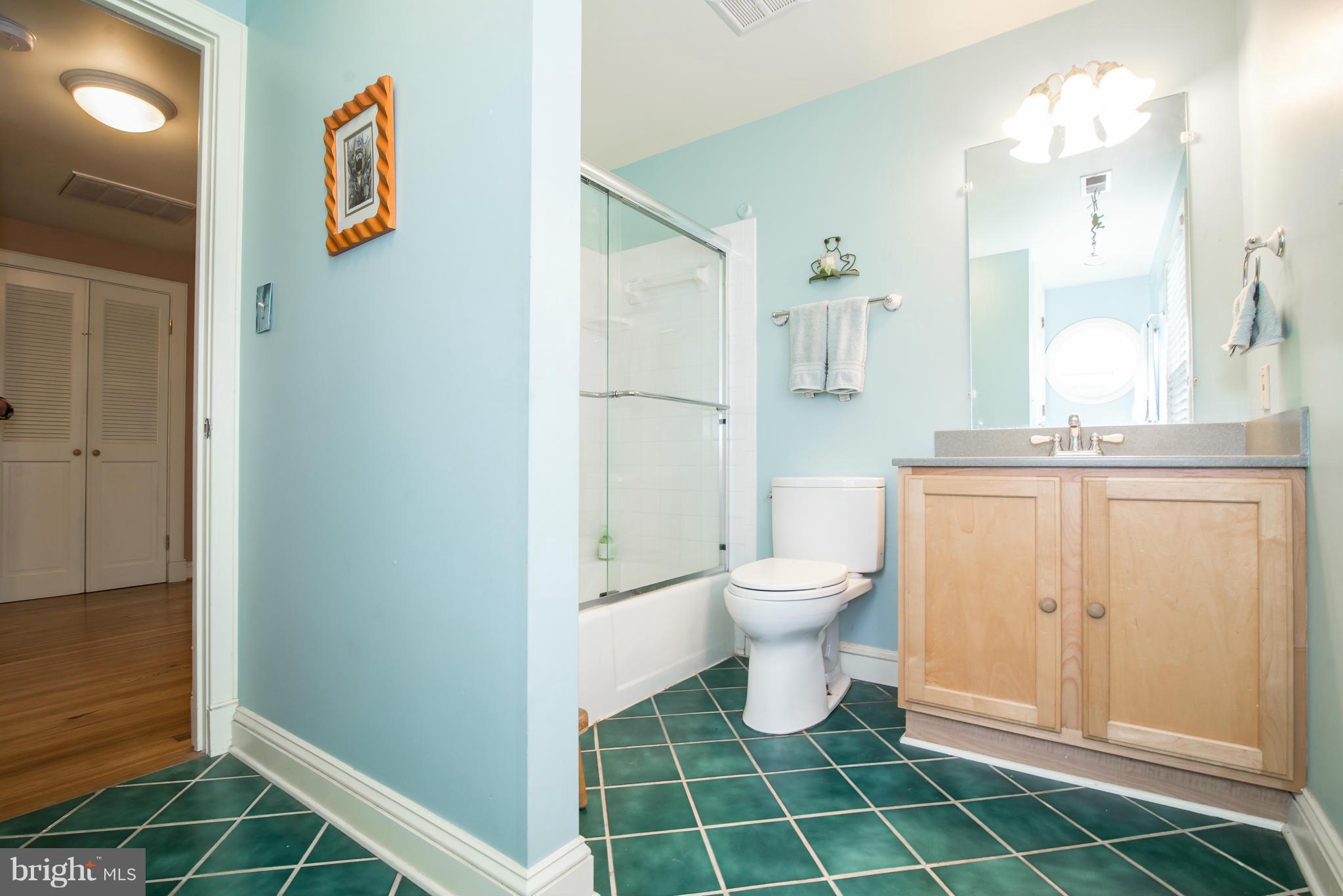 55 Main Street Round Hill, VA 20141 - Photo 19 of 29 Bath