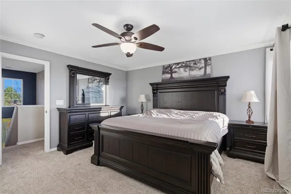 $650,000 | 908 Crenshaw Street, Castle Rock, CO 80104