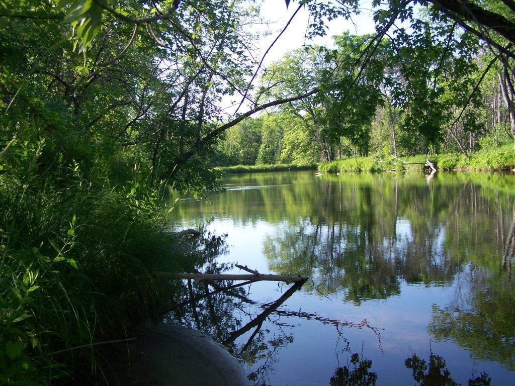 8545 Long Rapids Road Alpena, MI 49707 - Photo 4 of 27 Gallery Image 4