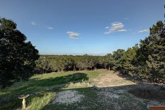 a view of a yard with a tree