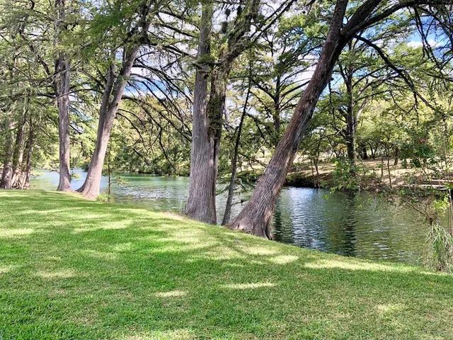a view of a trees in a yard